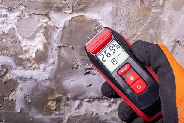 Mold Removal and Inspection in Kokomo, IN