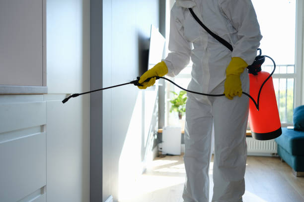 Mold Testing and Removal in Kokomo, IN